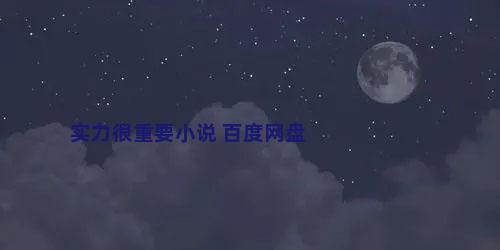 实力很重要小说 百度网盘